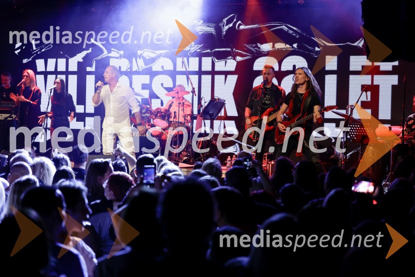 VIli Resnik s prijatelji - 30 let glasbene kariere