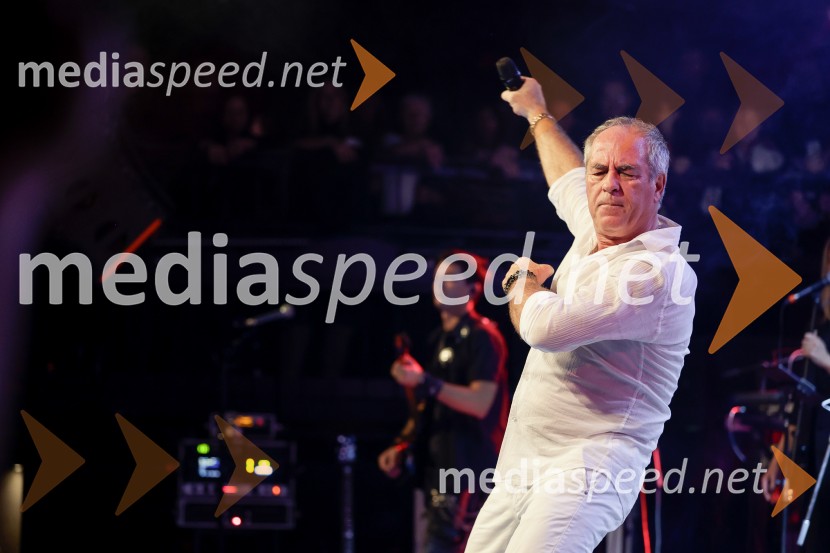 VIli Resnik s prijatelji - 30 let glasbene kariere