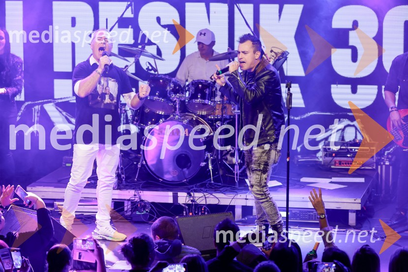 VIli Resnik s prijatelji - 30 let glasbene kariere