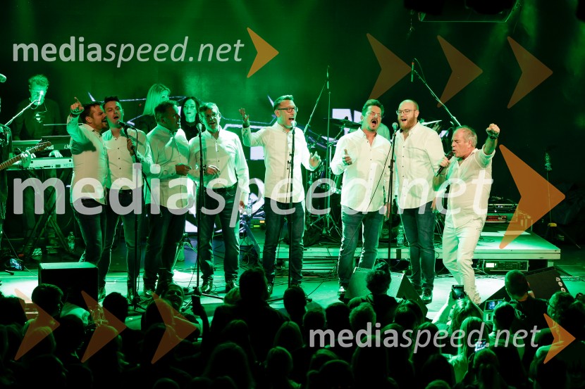 VIli Resnik s prijatelji - 30 let glasbene kariere