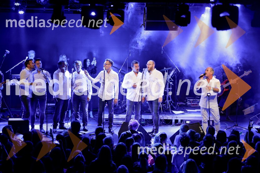 VIli Resnik s prijatelji - 30 let glasbene kariere