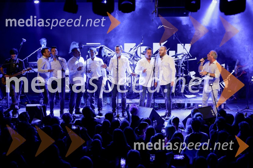 VIli Resnik s prijatelji - 30 let glasbene kariere