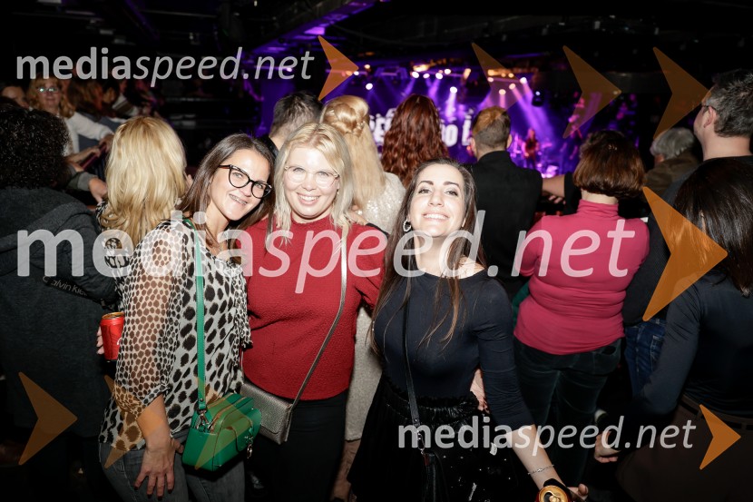 VIli Resnik s prijatelji - 30 let glasbene kariere