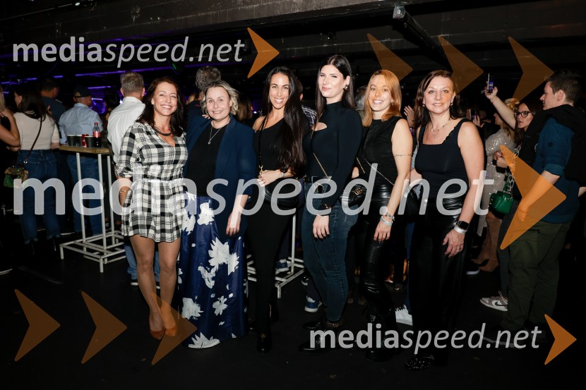 VIli Resnik s prijatelji - 30 let glasbene kariere