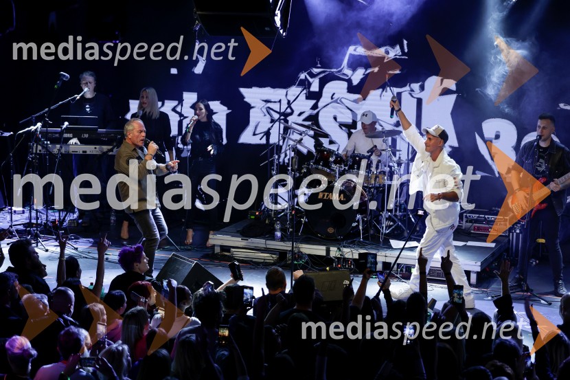 VIli Resnik s prijatelji - 30 let glasbene kariere