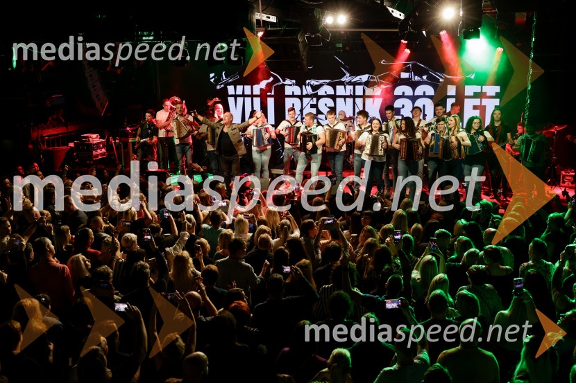 VIli Resnik s prijatelji - 30 let glasbene kariere