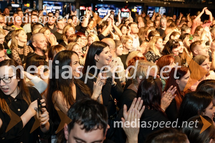 VIli Resnik s prijatelji - 30 let glasbene kariere