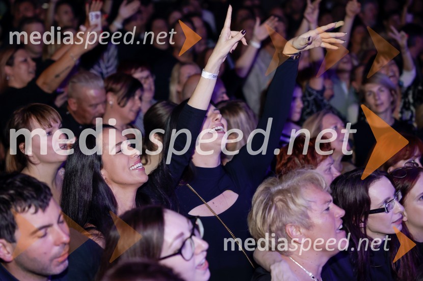 VIli Resnik s prijatelji - 30 let glasbene kariere