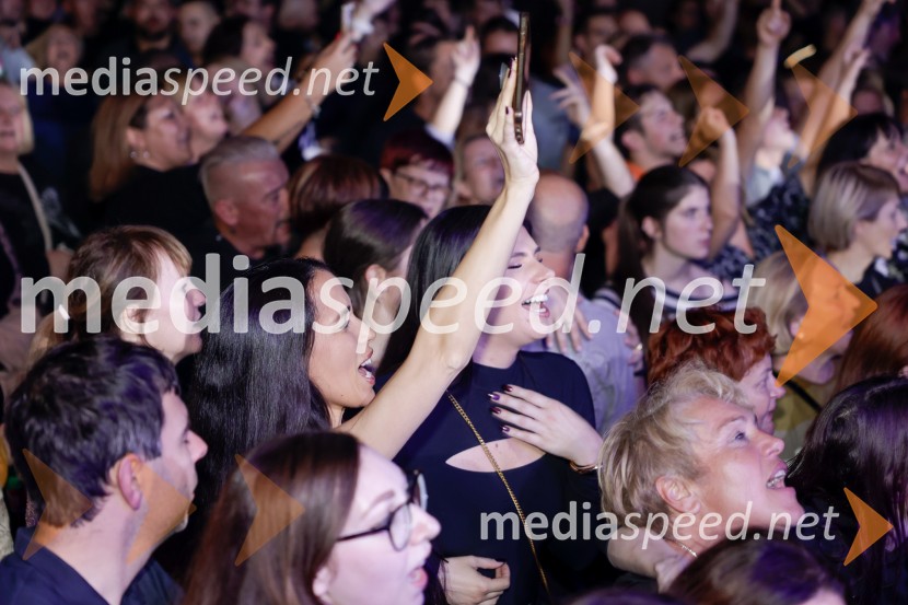 VIli Resnik s prijatelji - 30 let glasbene kariere