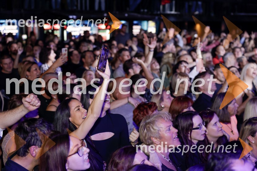 VIli Resnik s prijatelji - 30 let glasbene kariere