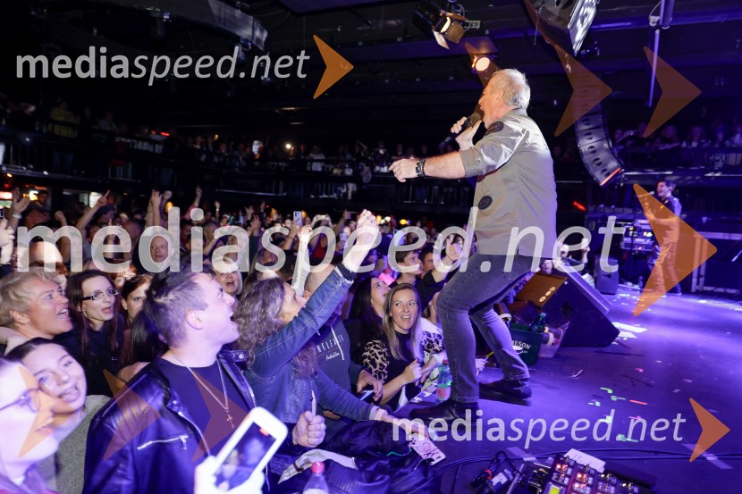 VIli Resnik s prijatelji - 30 let glasbene kariere