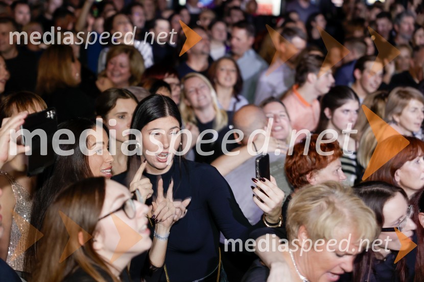 VIli Resnik s prijatelji - 30 let glasbene kariere