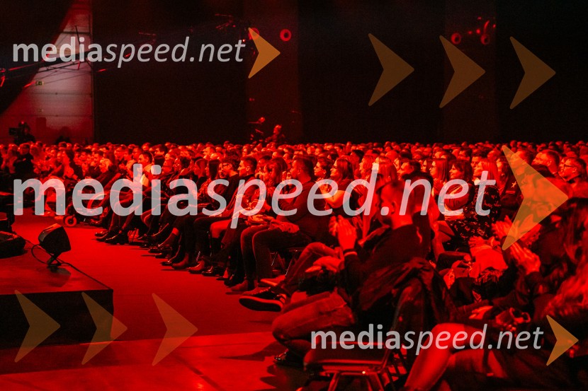 Na žaru z Ladom Bizovičarjem, Magnifico