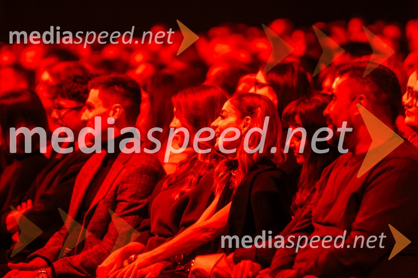 Na žaru z Ladom Bizovičarjem, Magnifico