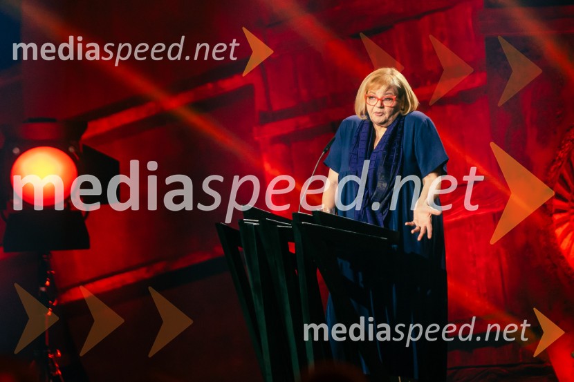  Desa Muck, voditeljica, pisateljicaNa žaru z Ladom Bizovičarjem, Magnifico