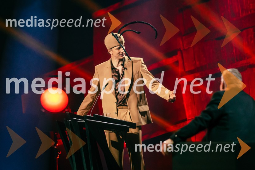 Na žaru z Ladom Bizovičarjem, Magnifico