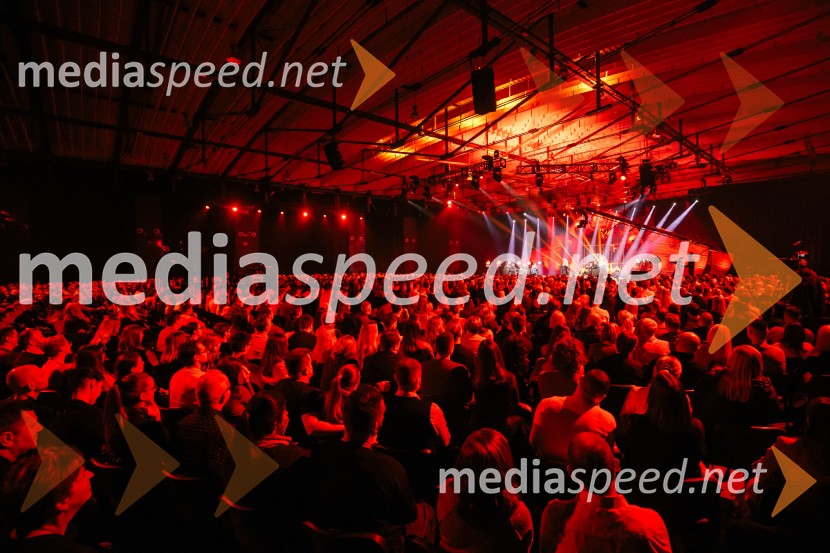 Na žaru z Ladom Bizovičarjem, Magnifico