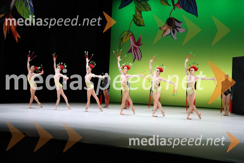 Frida, premiera baleta v SNG Maribor