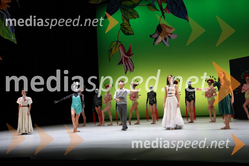 Frida, premiera baleta v SNG Maribor