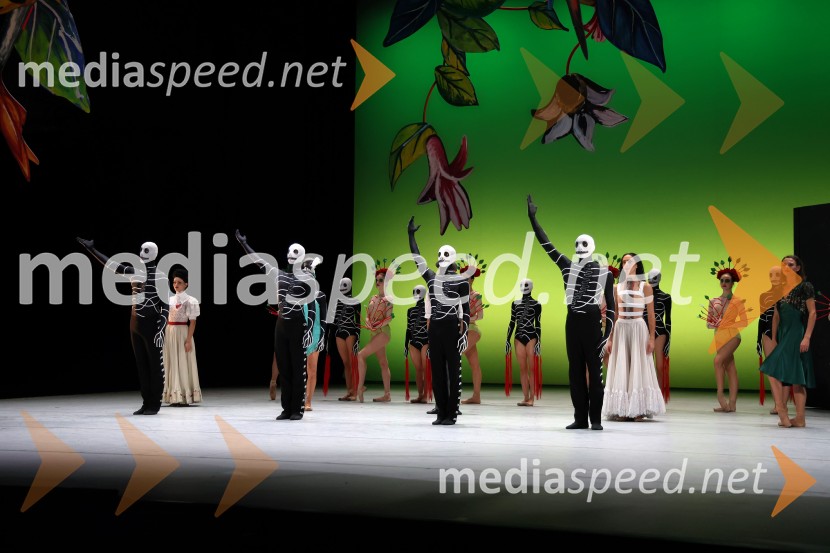 Frida, premiera baleta v SNG Maribor