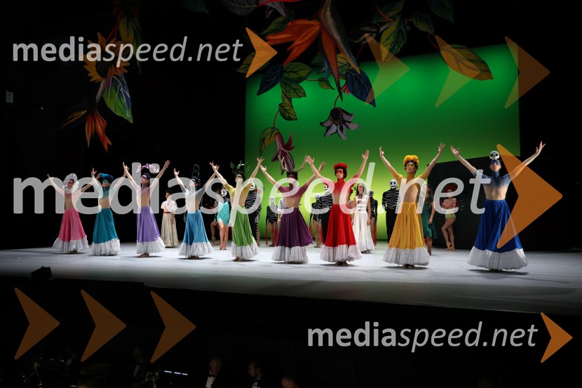 Frida, premiera baleta v SNG Maribor