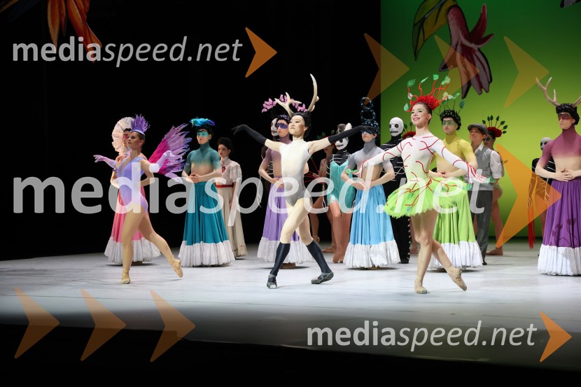 Frida, premiera baleta v SNG Maribor