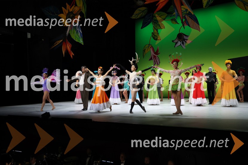 Frida, premiera baleta v SNG Maribor