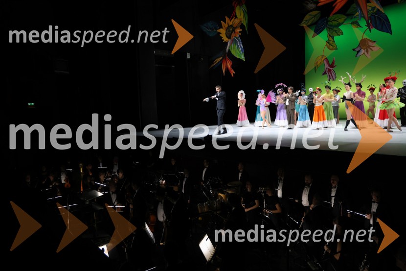 Frida, premiera baleta v SNG Maribor