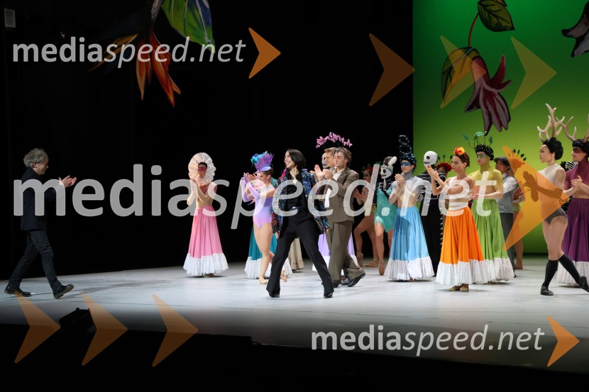 Frida, premiera baleta v SNG Maribor