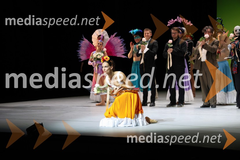 Frida, premiera baleta v SNG Maribor