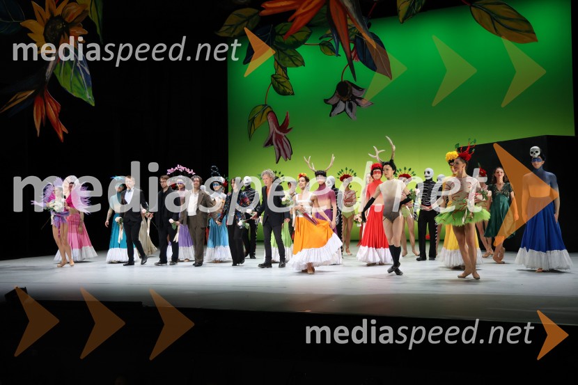 Frida, premiera baleta v SNG Maribor