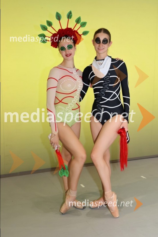 Frida, premiera baleta v SNG Maribor