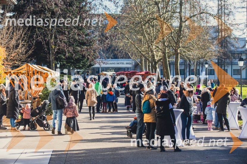 Gorenjski adventni sejem 2025