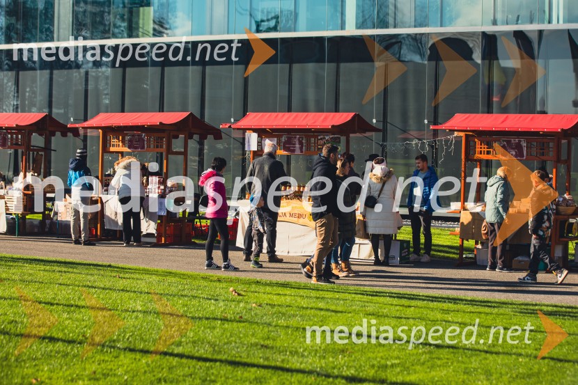 Gorenjski adventni sejem 2025