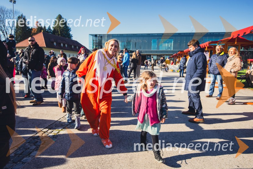 Gorenjski adventni sejem 2025