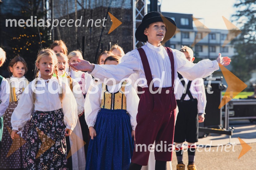 Gorenjski adventni sejem 2025