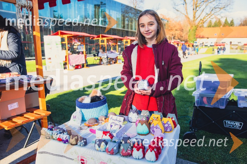 Gorenjski adventni sejem 2025