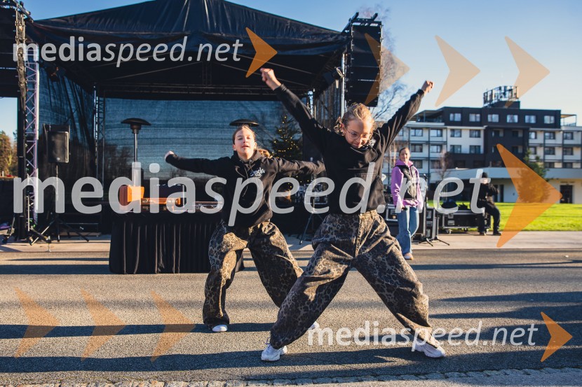 Gorenjski adventni sejem 2025