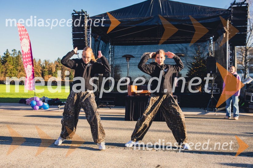 Gorenjski adventni sejem 2025