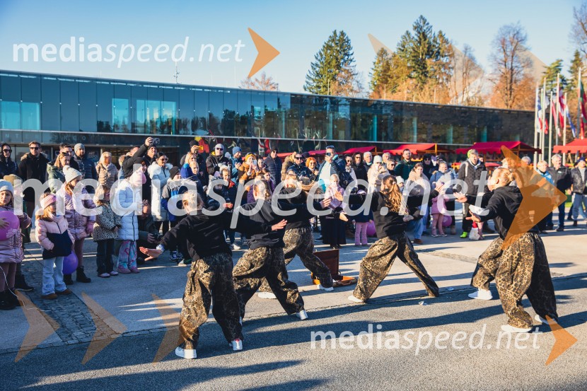 Gorenjski adventni sejem 2025