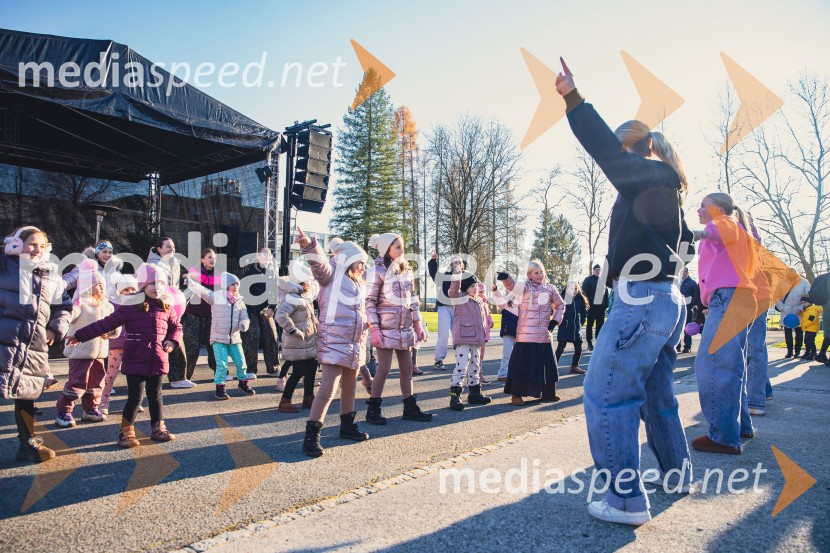 Gorenjski adventni sejem 2025