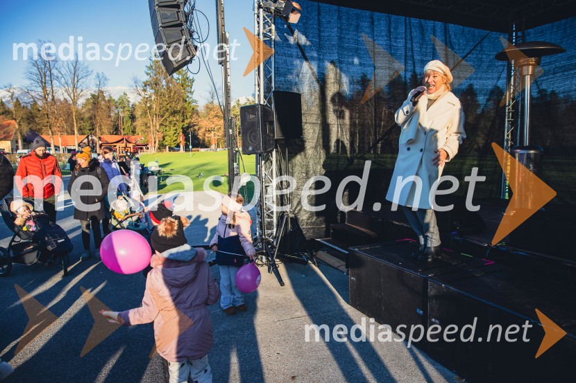 Gorenjski adventni sejem 2025