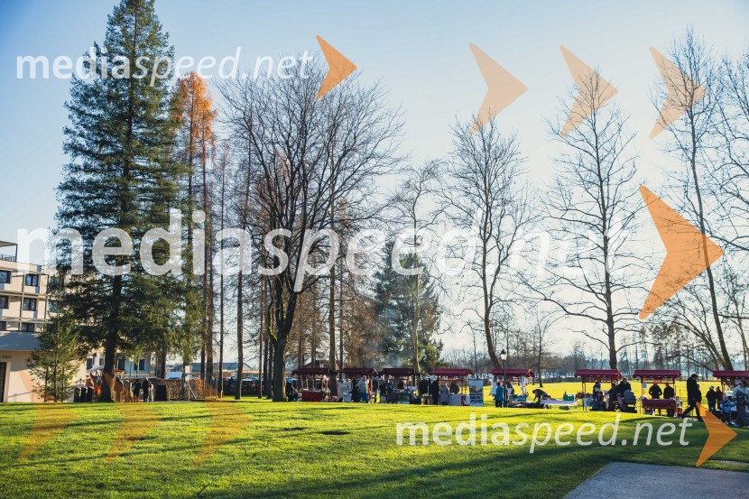 Gorenjski adventni sejem 2025