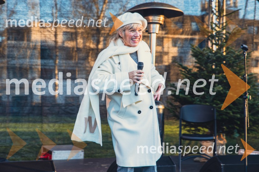 Gorenjski adventni sejem 2025