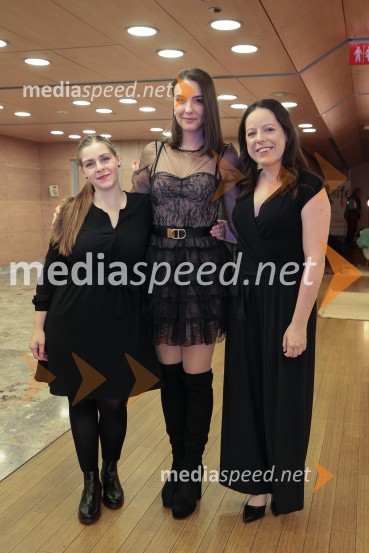 Zaključek 36. LIFFa: nagrade, slavnost in projekcija filma DJ Ahmet