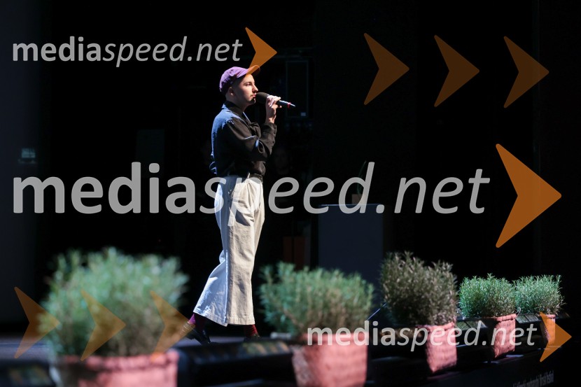 Zaključek 36. LIFFa: nagrade, slavnost in projekcija filma DJ Ahmet