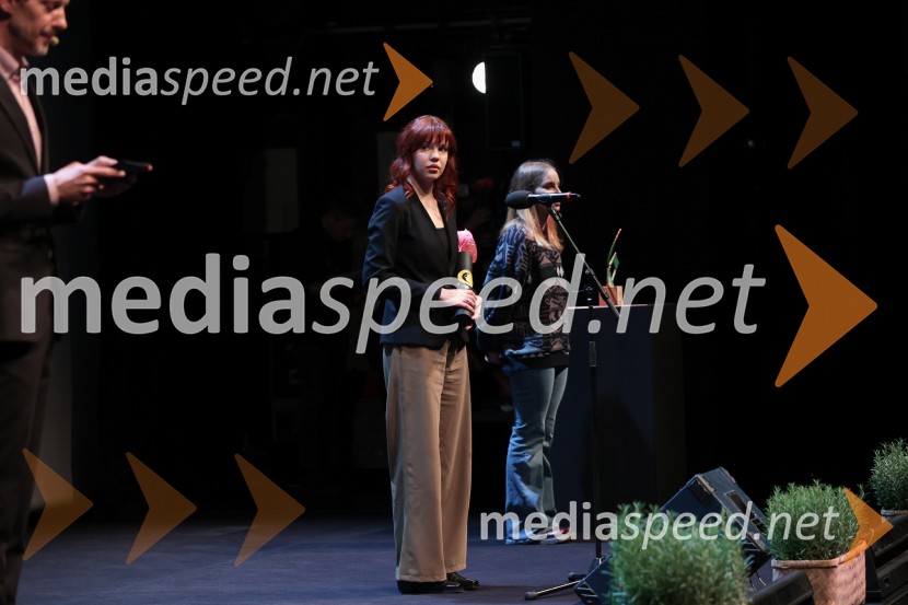 Zaključek 36. LIFFa: nagrade, slavnost in projekcija filma DJ Ahmet