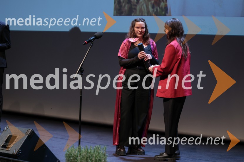 Zaključek 36. LIFFa: nagrade, slavnost in projekcija filma DJ Ahmet