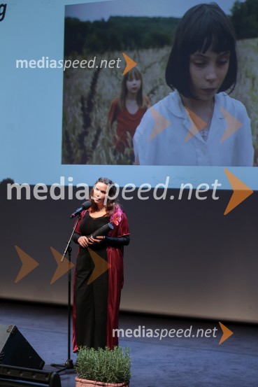 Zaključek 36. LIFFa: nagrade, slavnost in projekcija filma DJ Ahmet