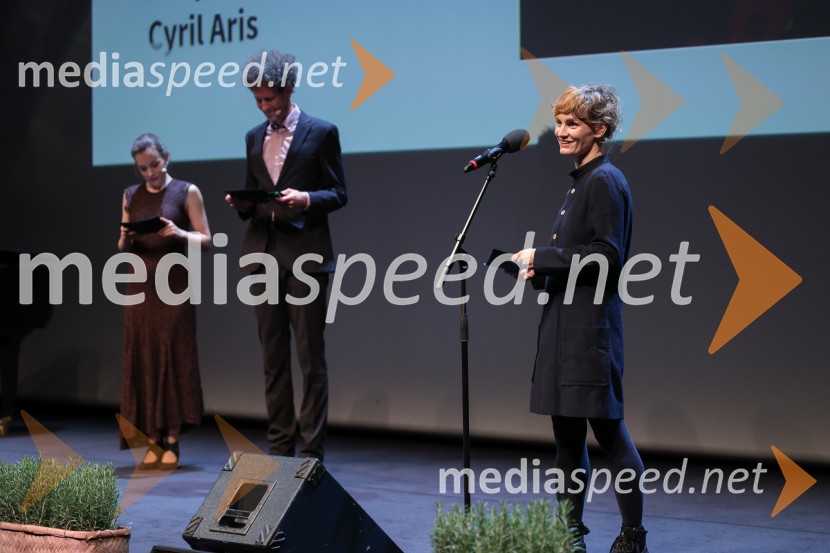 Zaključek 36. LIFFa: nagrade, slavnost in projekcija filma DJ Ahmet